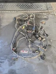 Arctic Cat Fis 4X4 400 06 Wiring Harness 0486-178 #78. Fixed Price $199.99.