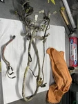 Yamaha Grizzly 450 Wiring Harness. Fixed Price $249.00.