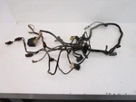 Arctic Cat 400 2X4 Auto Fis Wire Wiring Harness 0486-093 2003. Fixed Price $75.00.