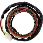 Ricks Motorsport Electric 21-101 Stator. Fixed Price $149.95.