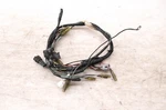 96 Yamaha Blaster 2X4 Wire Harness Electrical Wiring YFS200. Fixed Price $37.50.