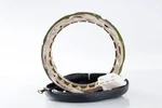 Ricks Electric Stator 21-101. Fixed Price $149.95.