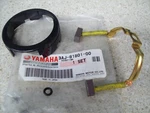 Nos Oem Yamaha Brush Set 1998-2005 YFM4FAT YFM660FHS YFM600FM 3AJ-81801-00. Fixed Price $61.59.
