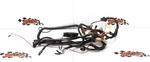 1999 Polaris Scrambler 500 Main Wire Harness 2460657. Fixed Price $249.00.