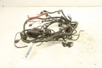 Arctic Cat Prowler 700 Xtx 10 Wiring Harness Chassis 0486-296 52048. Fixed Price $389.99.