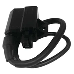 Ricks Ignition Coil 23-303. Fixed Price $49.95.
