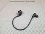 Pipette Coil 3083923 Polaris Trail Blazer 250 2T 2000 2005 1G. Fixed Price $73.69.