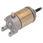 Ricks Motorsport Electric Starter 61-197. Fixed Price $204.95.