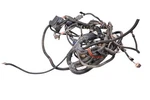 13 Polaris Sportsman 850 Xp 4X4 Wire Harness Electrical Wiring. Fixed Price $349.99.