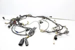 2004 Kawasaki Prairie 700 Oem Main Wiring Harness 26031-0021. Fixed Price $117.99.