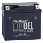Bikemaster Trugel Battery MG5L-BS. Fixed Price $37.29.