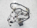 Arctic Cat Atv 2006 650 H1 Main Wire Harness 0486-186. Fixed Price $299.97.
