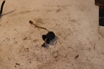 2002 Suzuki Oem Quadrunner 4WD Socket 35171-19B03. Fixed Price $54.50.