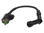 Bronco Ignition Coil #AT-01909 Can-am DS250 2007-2022. Fixed Price $24.08.