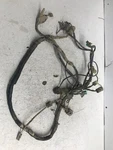 01L24 Honda Trx 400 Fw 4X4 1997 Wire Harness 32100-HM7-831 32100-HM7-611. Fixed Price $549.49.