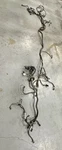 Polaris Ranger 900 Xp Main Electrical Wiring Harness Chassis 2413126. Fixed Price $357.00.
