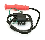 Ignition Coil For Polaris Magnum Scrambler Ranger Sportsman Worker Xpedition 500. Fixed Price $15.99.