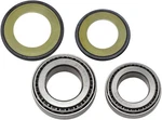 Balls Steering Bearing Kit Honda CBR650FA Abs (2018). Fixed Price $46.94.