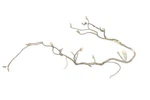 Kawasaki Bayou 300 4X4 95 Wiring Harness 26030-1060 53798. Fixed Price $199.99.