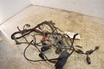 2005 Arctic Cat 400 4X4 Fis Man Wiring Harness 0486-154. Fixed Price $99.99.