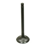 Bronco Exhaust Valve AU-09156E. Fixed Price $19.43.