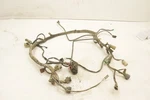 Honda Rubicon 500 Fa 02 Wiring Harness 32100-HN2-000 51136. Fixed Price $79.99.