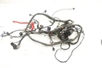 Arctic Cat Prowler 700 Hdx 11 Wiring Harness Chassis 0486-350 47315. Fixed Price $249.99.