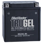 Bikemaster Trugel Battery MG30L-BS. Fixed Price $134.38.