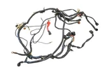 01 Yamaha Raptor 2X4 Wire Harness Electrical Wiring YFM660R. Fixed Price $299.99.