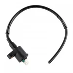 Neutron Ignition Coil HT-30510-HM7-003 For Atv/utv. Fixed Price $22.28.