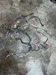 1999 Polaris Xplorer 400 4X4 Main Wiring Harness Coil Throttle Oem 2460704. Fixed Price $57.90.