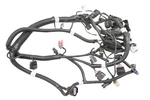 19 Polaris Slingshot Slr Engine Wire Harness Electrical Wiring. Fixed Price $289.99.