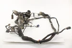 2020 Indian Challenger Chassis Wiring Harness. Fixed Price $1639.99.