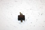 1990 Arctic Cat El Tigre Ext Mountain Oem Toggle Switch 0609-903 SA49. Fixed Price $14.99.