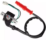 Ignition Coil Pack & Cap Arctic Cat Prowler Xt 650 4X4 H1 Automatic (2006-2009). Fixed Price $19.99.