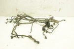 Arctic Wildcat 1000 X 15 Wiring Harness Main Chassis 0486-524 49864. Fixed Price $429.99.