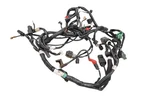 22 Kawasaki KLX300SM Wire Harness Electrical Wiring. Fixed Price $449.99.