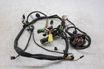 07 Suzuki Ozark 2X4 Wire Harness Electrical Wiring LTF250 For Parts. Fixed Price $74.99.