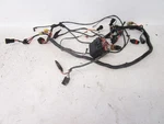Arctic Cat 400 Fis 4X4 Auto Wire Wiring Harness 0486-155 2005. Fixed Price $250.00.
