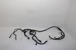 2002 Polaris Magnum 325 Oem Main Wire Harness 2460948 AP185. Fixed Price $85.99.