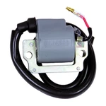 Ricks Motorsport Electric 23-603 Shot Ignition Coil. Fixed Price $50.96.