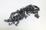 17-18 Kawasaki Versys 1000 Main Wiring Harness Wire Loom 26031-2198. Fixed Price $200.00.