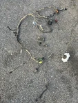 2011 Suzuki King Quad 400FSI Wiring Harness With Regulator. Fixed Price $110.00.
