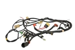 87 Honda Fourtrax 2X4 Wire Harness Electrical Wiring TRX250. Fixed Price $74.99.