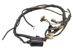 87 Honda TRX250X Wire Harness Electrical Wiring For Parts. Fixed Price $98.99.