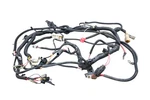 03 Can-am DS650 Baja 2X4 Wire Harness Electrical Wiring Bombardier. Fixed Price $199.99.