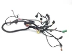 Main Engine Wiring Harness 2001 Arctic Cat 500 4X4 Automatic 3337. Fixed Price $141.19.