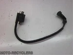 09 Rhino 450 660 Coil With Wire And Cap 3. Fixed Price $21.00.