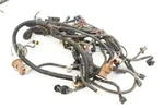2007 Polaris Sportsman 700 Main Wire Harness Assy 2410937. Fixed Price $349.95.