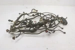 Polaris Sportsman 850 23 Wiring Harness Main Chassis 2416125 52559. Fixed Price $419.99.